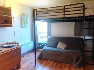 Charmant studio au pied des pistes à Prapoutel - FR-1-771-18 - 1