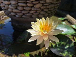 Mandox Villa Bali - 4