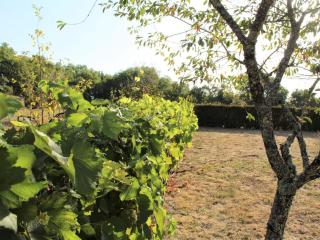 Maison de campagne avec 3 chambres, wifi, terrasse, proche sites touristiques, animaux acceptés - FR-1-616-138 - Azerat - 7