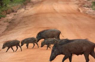 Moon Light Guest House - 5