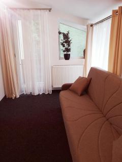 Ariana house - Sinaia - 1