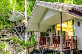 Rock and Tree House Resort - Khao Sok - 3