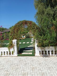 AlJasmi Holiday farm - 5