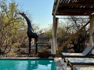 Lindiwe Safari Lodge - Hoedspruit - 2