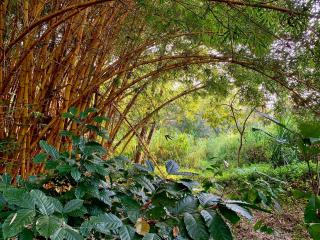 Cuppa Creek Homestay - 2