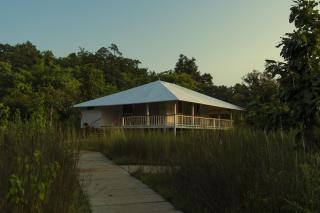 Tree of Life Ramvilas, Bandhavgarh - Tāla - 1