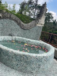 River Song Bali - Ubud - 3