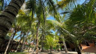 Bronze Bungalows - Gili Meno - 5