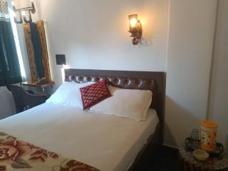 Beach Deluxe Carolina GuestHouse Colva - Colva - 2