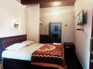 Beach Deluxe Carolina GuestHouse Colva - Colva - 5