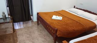 Mist Valley Wildlife Resort - Masinagudi - 4