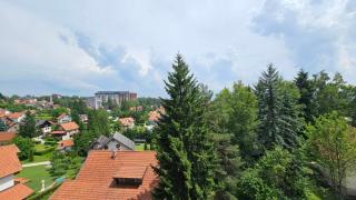 Forest Dreams LUX - Zlatibor - 4