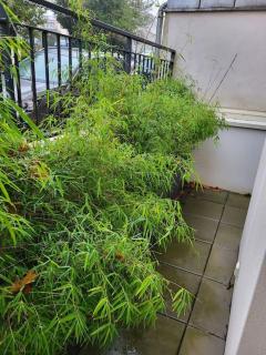 Logement entier - Chez Benjamin - Nantes - 3