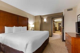 Comfort Suites Near Potomac Mills - Woodbridge - 3