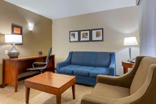 Comfort Suites Near Potomac Mills - Woodbridge - 5