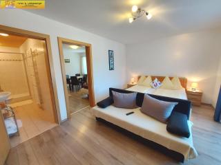 Apartment Sandlweber 1 by FiS - Fun in Styria - Bad Mitterndorf - 6