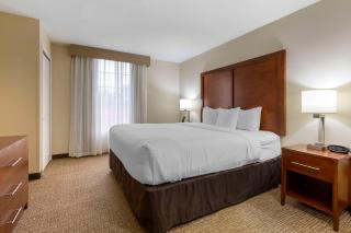 Comfort Suites Near Potomac Mills - Woodbridge - 4