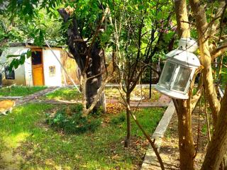 Paradise Garden on the Island - Heybeliada - 8