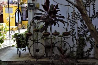 Yellow flat-estudio Oaxaca Centro - 7