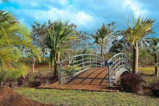 Royal Oasis Villa - Balaclava - 4