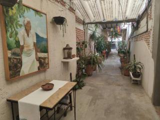 The azul flat room - Città di Oaxaca - 7