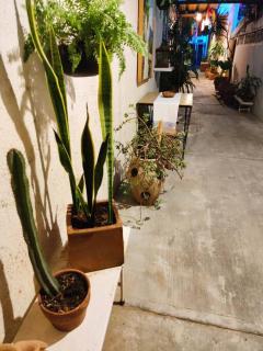 The azul flat room - Città di Oaxaca - 6