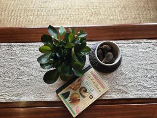 Waterfront Cabin Retreat - Sea Views with Breakfast Hamper - 3