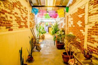 The Green Loft, Oaxaca Centro - Città di Oaxaca - 4