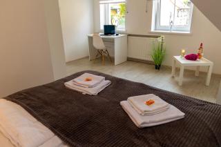 Apartamenty Zieleniec-Julia 3 - Duszniki Zdrój - 7