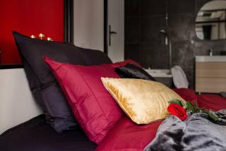 Suite Jean Jaurès - Love Room - Saint Etienne - 5