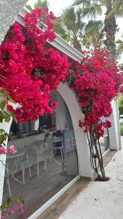 La Casa di Nina - La Maddalena - 9