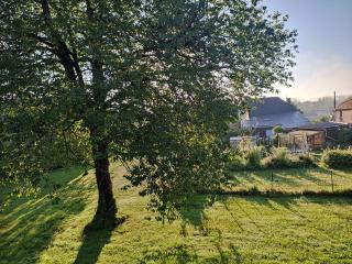 Au Pied du Merisier - 6