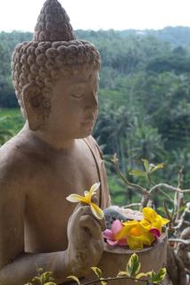 Heaven View 2 - Ubud - 8