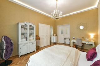 Amethyst apartment - Prague - 3