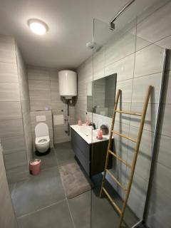 Superbe studio avec terrasse - La Roche-sur-Foron - 0