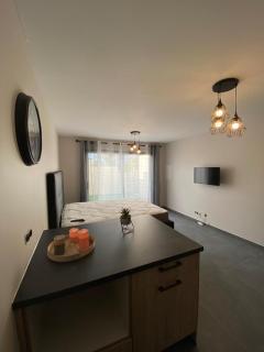 Superbe studio avec terrasse - La Roche-sur-Foron - 1