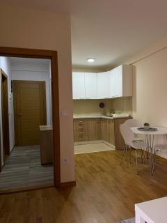 Olimp apartmani Sokobanja - Soko Banja - 1