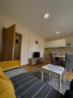 Olimp apartmani Sokobanja - Soko Banja - 3