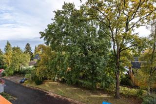 Meerzeit am Steinhuder Meer - 7