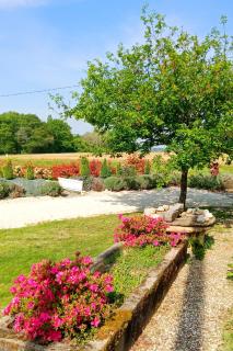 Appartement T3 GASCOGNE - 9