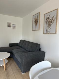 Apartament nad jeziorem AN - Myślibórz - 8
