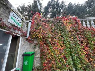 Hostel La Casa Dilijan - Dilijan - 9