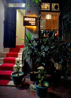 Mimoza İstiklal Apart Hotel - Istanbul - 1