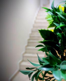 Mimoza İstiklal Apart Hotel - Istanbul - 8