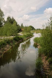 Centrum Aktywnego Wypoczynku Borek - 3