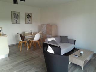 Magnifique T3 Hauts-Vallons - 0