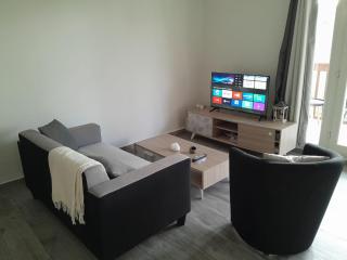 Magnifique T3 Hauts-Vallons - 2