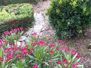 Grande villa avec jacuzzi à La Pointe aux Chevaux - FR-1-736-23 - 1