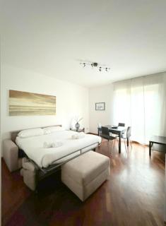 Accomodo MIT67 Trivano Linate - Milan - 0