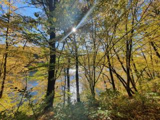 Holiday Home Ferienhaus Bude 92 by Interhome - 5